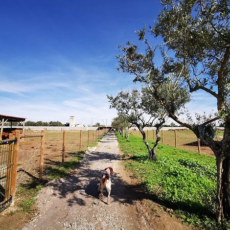 Quinta Do Louredo - Evora Villa Eksteriør bilde