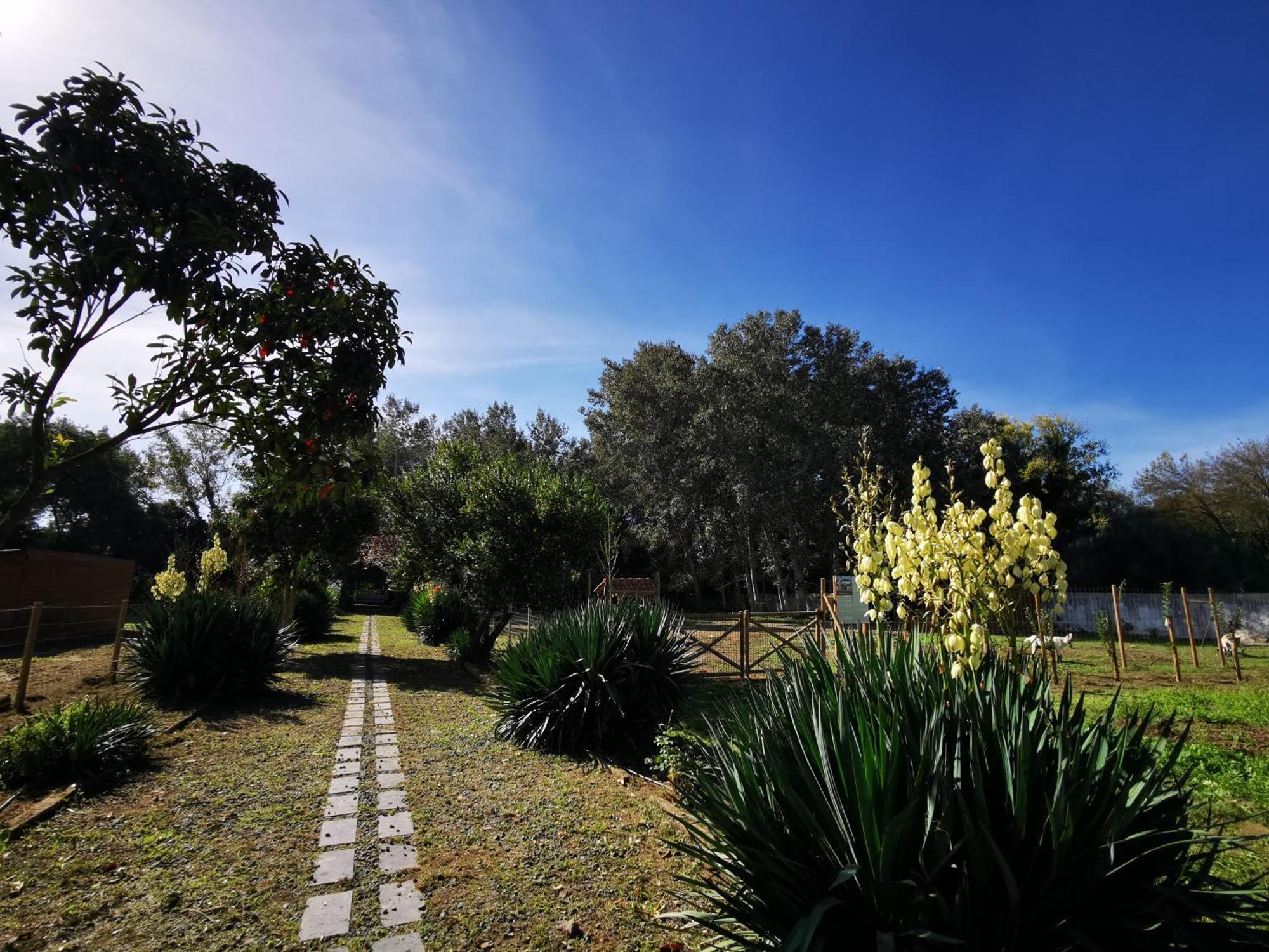 Quinta Do Louredo - Evora Villa Eksteriør bilde